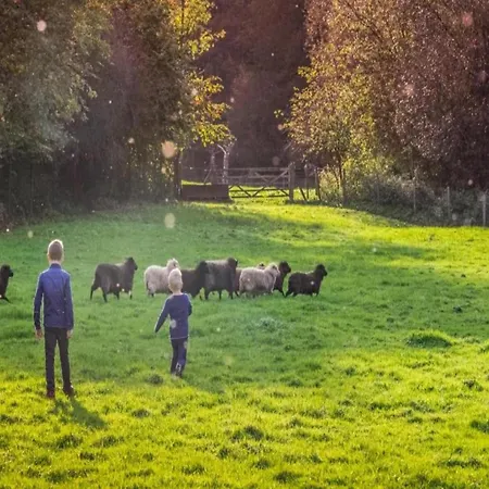Bright In Gulpen Netherlands With Garden * Stokhem