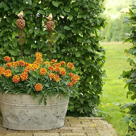 בית נופש With Garden Views