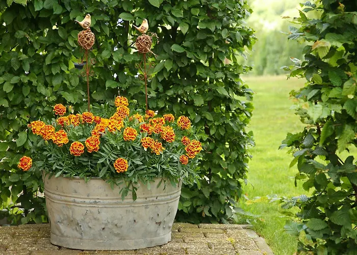 Nyaraló With Garden Views